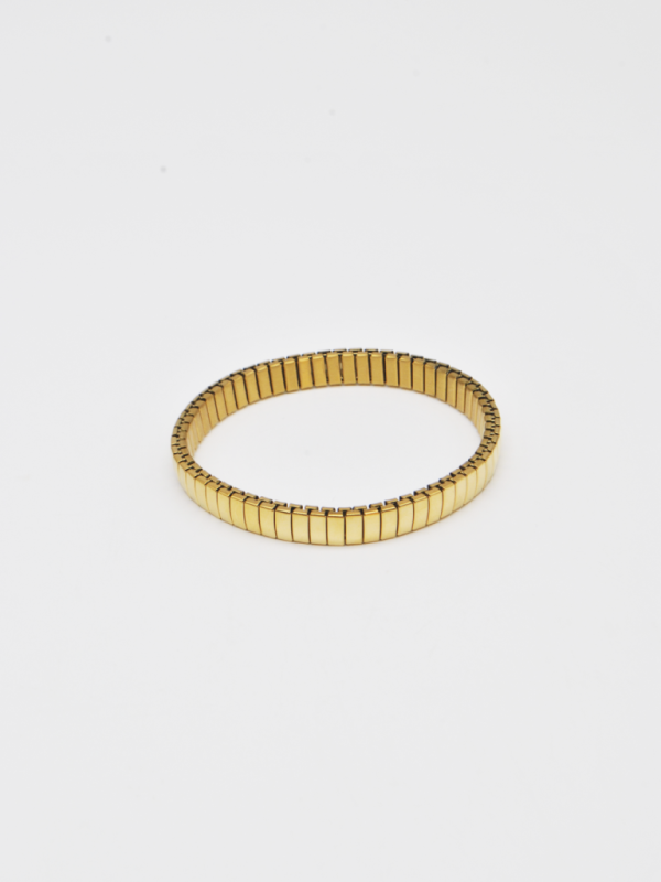 PULSEIRA DOURADA